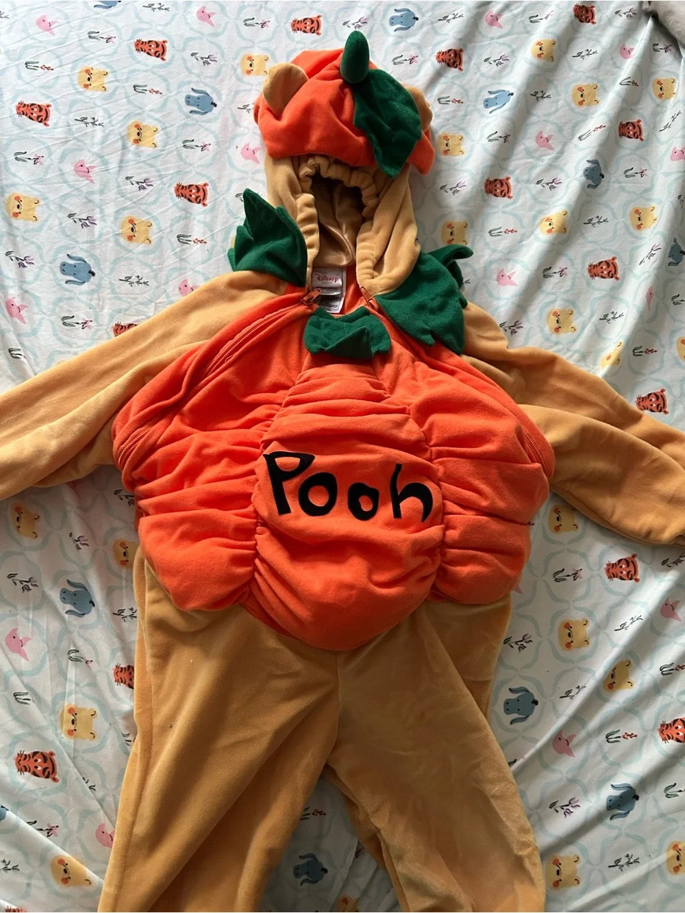 Disney Orange and Green Pumpkin Pooh Kids Costume